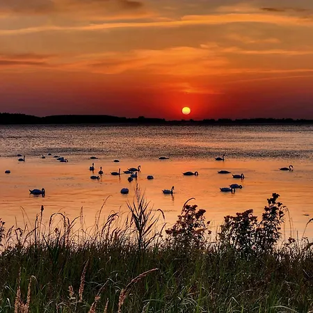 Kuestenkoje